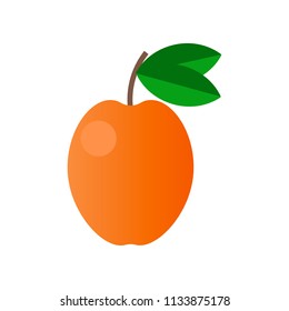 Vector illustration of an apricot. Fruit icon. Colorful flat design element for web sites banners, infographics, printed materials.