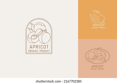 Vector illustration apricot fruits - vintage minimalist style. Logos set composition in retro botanical style