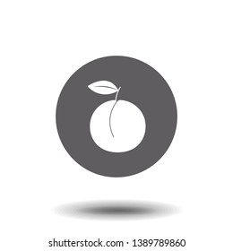 Vector illustration of apricot icon in flat style with title, isolated on white background