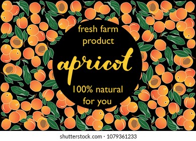 vector illustration of apricot and leaf design with lettering apricot background black and white and fruit and text fresh farm product 100% natural for you EPS10