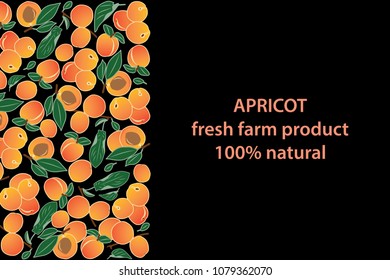 vector illustration of apricot and leaf design background black and white and fruit and text fresh farm product 100% natural EPS10