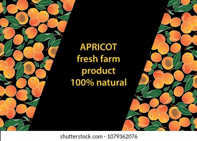 vector illustration of apricot and leaf design background black and white and fruit and text fresh farm product 100% natural EPS10