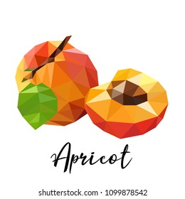Vector illustration of an apricot in low-poly style. Fruit in polygonal style on a white background. Can be used as a print for labels, clothes, textiles.