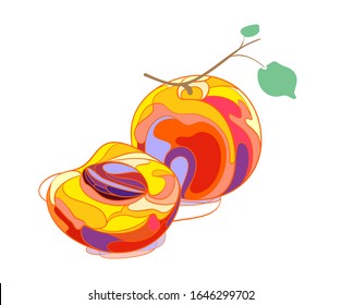 Vector illustration with apricot pattern. Ripe apricot with a seed, on a white background.