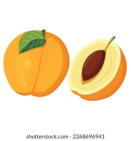 Ilustración vectorial del conjunto de albaricoques. Conjunto de dibujos animados de albaricoque maduro con hojas, medias y rodajas de frutas. Iconos de albaricoque frescos, aislados en fondo blanco. Elementos para los recursos digitales