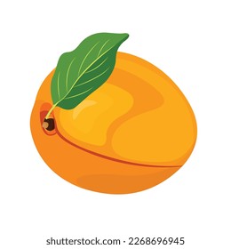 Vector illustration of apricot set. Set of cartoon ripe apricot with leaves, half and slices of fruits. Fresh apricot icons, isolated on white background. Elements for digital resources