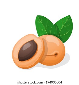 Vector illustration. Apricots with leaves.