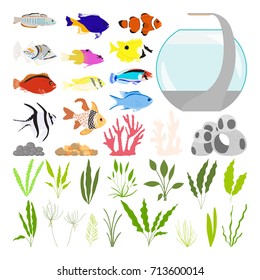 Vector illustration of aquarium accessories collection. Plant, coral, decoration, stone isolated on white background. Cartoon colorful style.