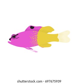 Vector illustration of aquarium fish. Colorful flat design. Isolated on white background.