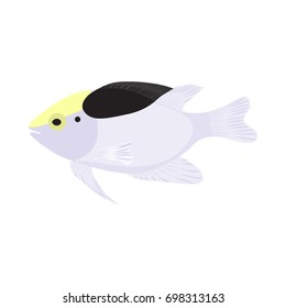 Vector illustration of aquarium fish. Colorful flat design. Isolated on white background.