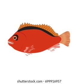 Vector illustration of aquarium fish. Colorful flat design. Isolated on white background.