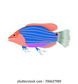 Vector illustration of aquarium fish. Colorful flat design. Isolated on white background.