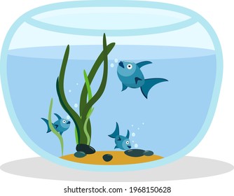 vector illustration of an aquarium with fish isolated on a white background