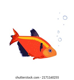 Vector illustration of an aquarium goldfish. A pet in a flat style on a white background.