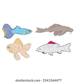 vector illustration of aquarium ornamental fish