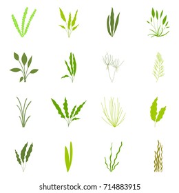 Vector illustration of aquarium plant. Isolated on white background.