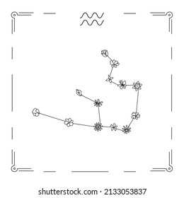 Vector illustration of Aquarius constellation with flowers and zodiac sign. 