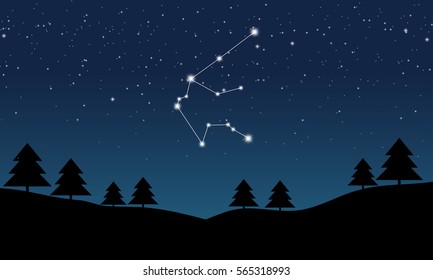 Vector illustration of Aquarius constellation on the background of starry sky and night landscape