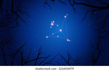 Vector illustration Aquila constellation. Dark branches, starry sky, open space. Illustration of constellation scheme Aquila