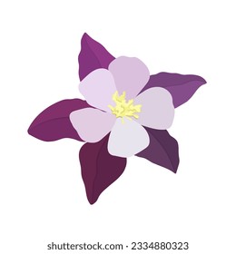 Vector illustration of aquilegia flowers of different colors Vector collection of colored aquilegia