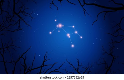 Vector illustration Ara constellation. Tree branches, dark blue starry sky