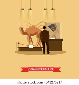 Vector illustration of Archaeological museum exposition in flat style. Visitor watching exhibition of ancient Egyptian artwork Nefertiti bust and stuffed camel.