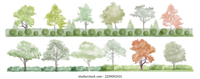 Ilustración vectorial de un árbol arquitectónico para el diseño paisajístico en un estilo acuarela