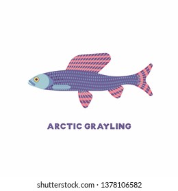 Vector illustration of Arctic Grayling fish - (Thymallus thymallus). Flat icon, white background. 