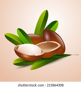 vector illustration argan tree branch on a white background