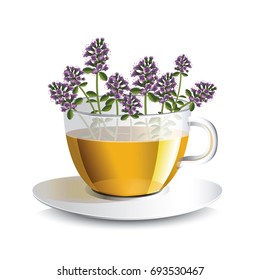 Vector illustration aromatic tea with thyme in a transparent cup with flowers, a conceptual idea for the label