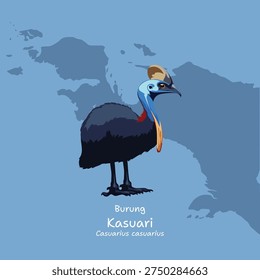 A vector illustration art of Cassowaries, in Indonesia known as Kasuari, scientific name is Casuarius, native to the tropical forests of New Guinea, the Moluccas, and northeastern Australia.