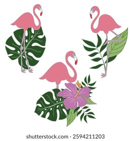 Vector illustration art. Flamingo with leaf. 