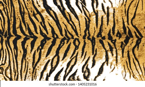 Vector Illustration Art of Indo-Chinese Tiger (Panthera Tigris Corbetti) Skin / Pelt for Background, Backdrop or Wallpaper.