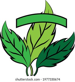 Vector illustration art leaves of  natural 