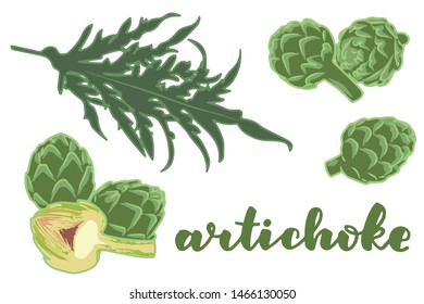 vector illustration of artichoke and leaf design isolated with lettering artichoke background white and vegetable EPS10