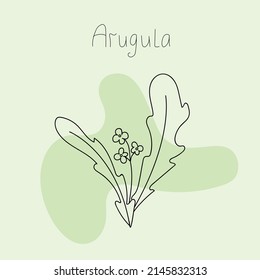 
Ilustración vectorial de hojas de arugula