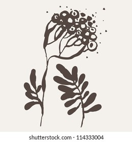 Vector illustration with ashberry