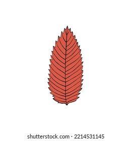 Vector illustration of ashberry leaf in cartoon style. Colorful isolated element for graphic design