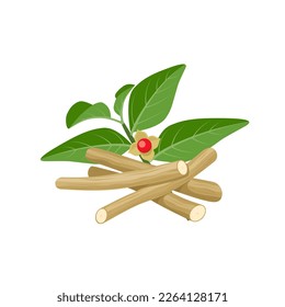 Ilustración vectorial de Ashwagandha o Withania somnifera, también conocida como ginseng indio, aislada en fondo blanco.