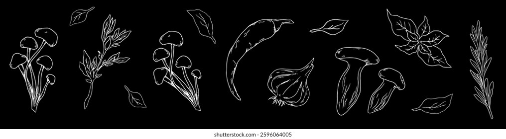 Vector illustration of Asian cuisine ingredients, including mushrooms, chili pepper, garlic, herbs. Hand drawn style gives a natural and organic feel, perfect for culinary and food related designs.