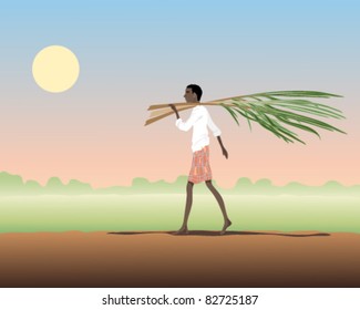 vector illustration of an asian man carrying sugar cane as he walks by a paddy field at sunset in eps 10 format