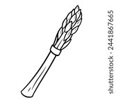 Vector illustration of an asparagus outline icon, ideal for vegetable projects.