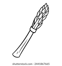 Vector illustration of an asparagus outline icon, ideal for vegetable projects.