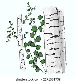 Vector illustration of aspen with green leaves.