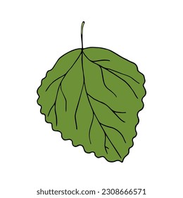 Vector illustration of aspen leaf in cartoon style. Colorful isolated decorative element