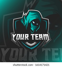 Vector illustration Assassin logo mascot for teammate