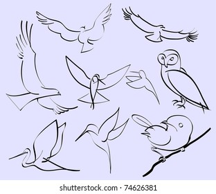 ilustração vetorial de aves abstratas sortidas