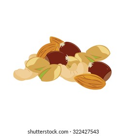 Vector illustration assorted mixed nuts. Hazelnuts, cashew, almond and pistachio