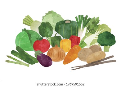 Vector illustration of assorted vegetables.