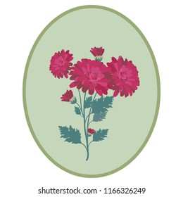 Vector illustration of an aster, chrysanthemum in a frame. A template for the design of cosmetics, postcards, labels, logos.